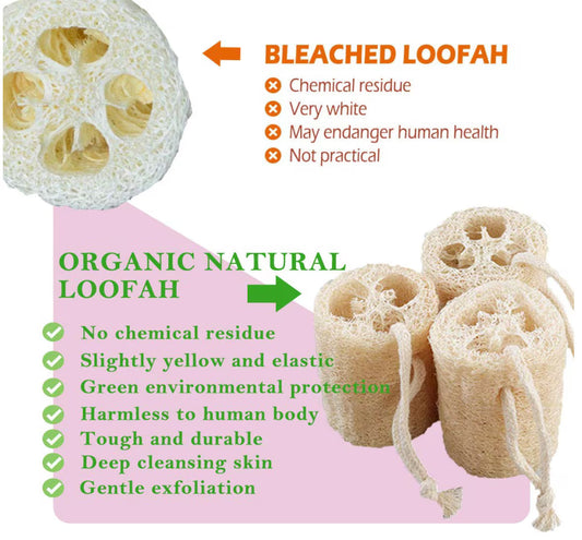 Organic Loofah Sponge 100% Biodegradable for Bath Or Kitchen Use + Free gift