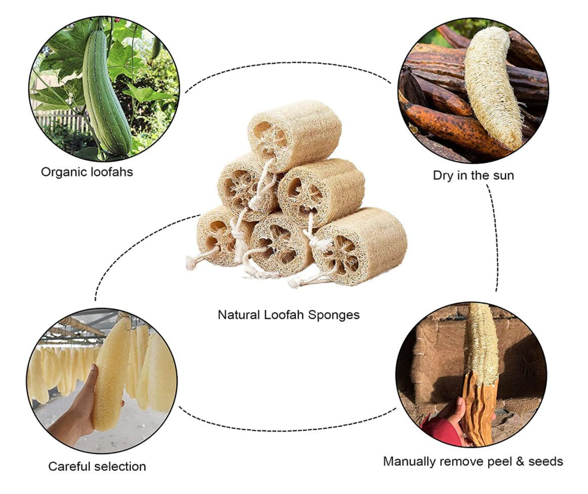 Organic Loofah Sponge 100% Biodegradable for Bath Or Kitchen Use + Free gift