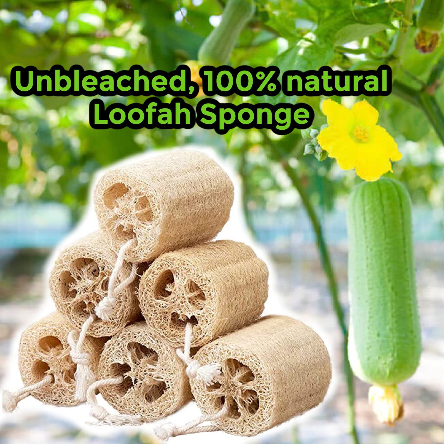 Organic Loofah Sponge 100% Biodegradable for Bath Or Kitchen Use + Free gift